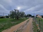 Fotografija 304413809
