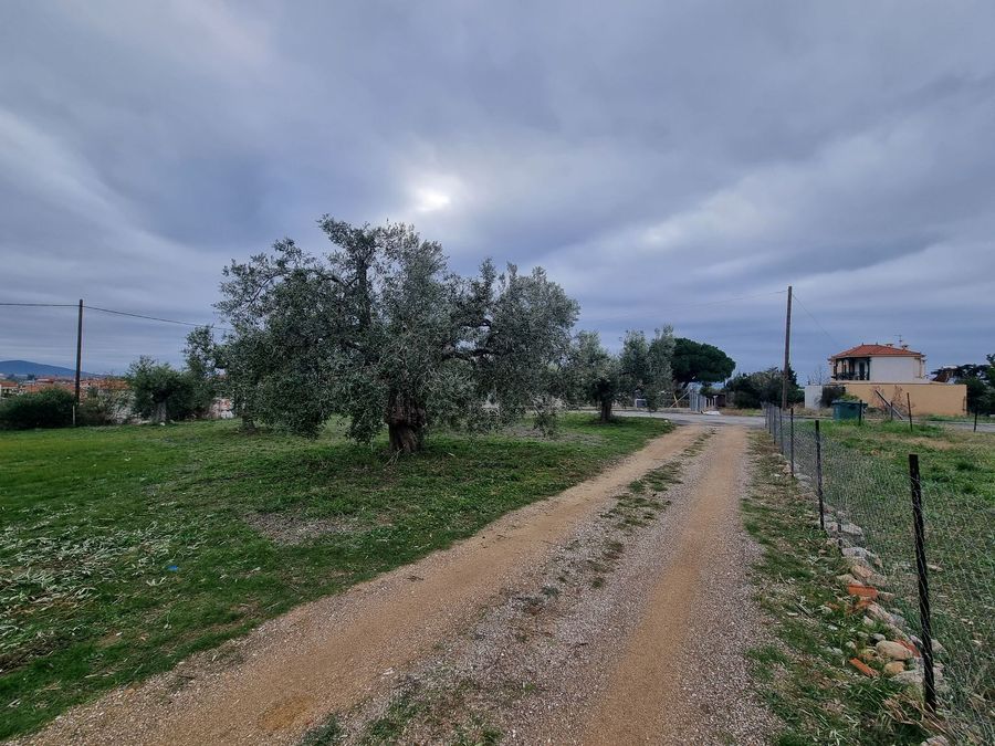 Fotografija 304413809