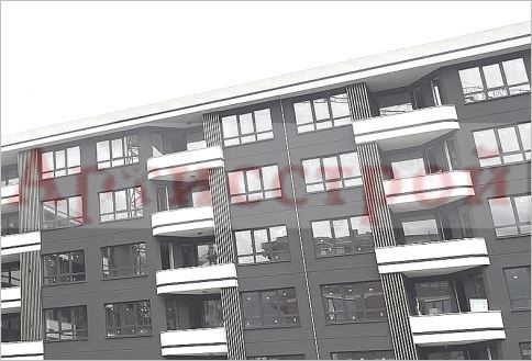 Снимка 304785623