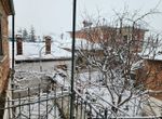 Foto 305100104