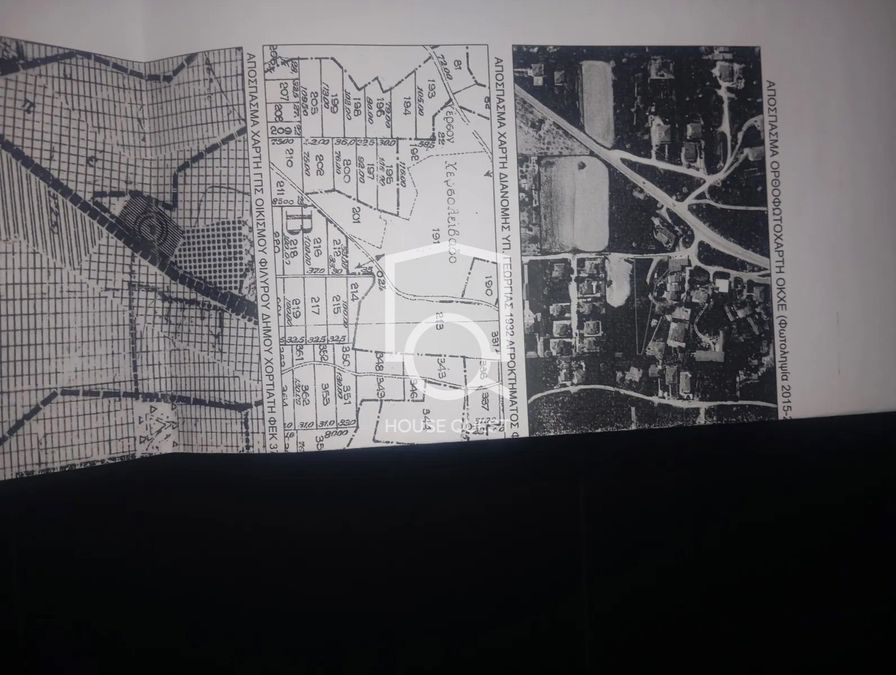Photo 305126462