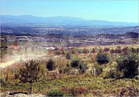 Снимка 305248346