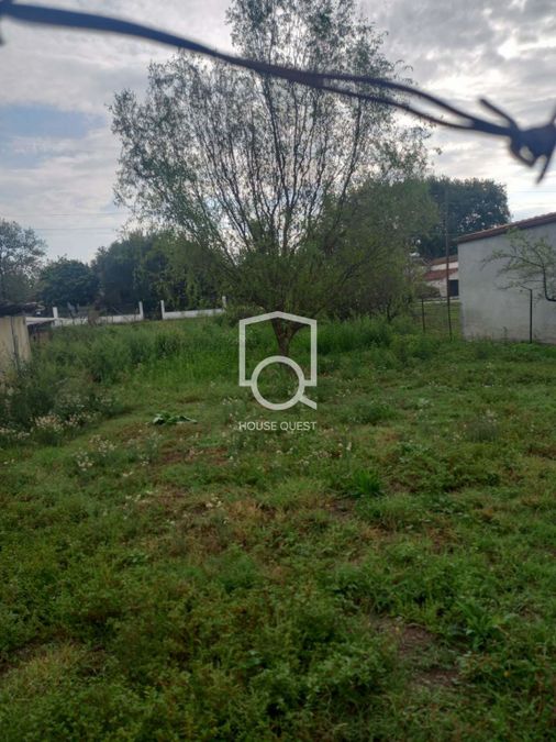 Photo 305311745