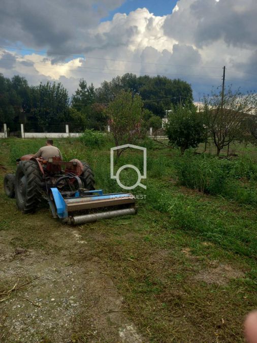 Photo 305311751