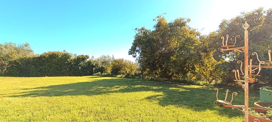 Photo 305751989