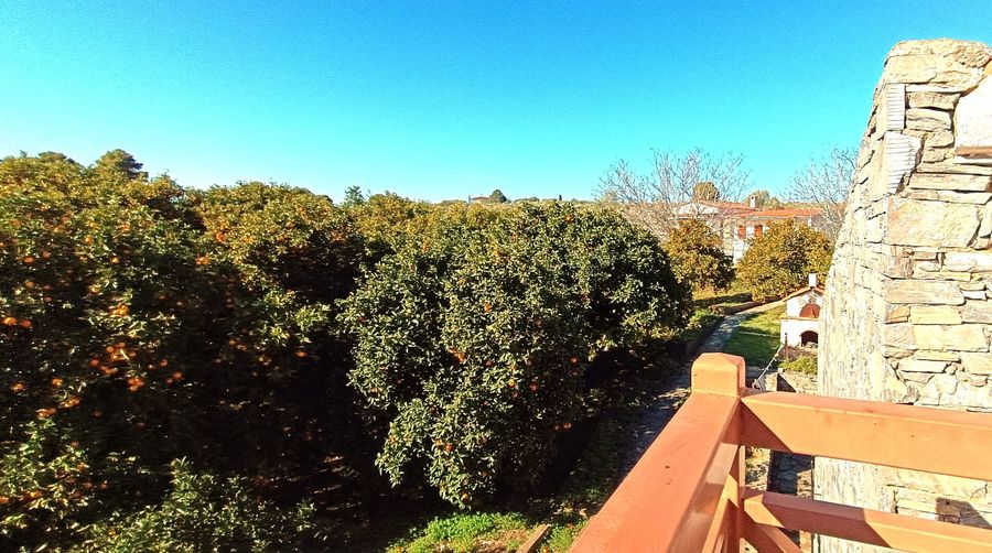Photo 305751995