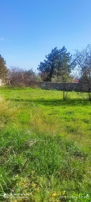 Plot Center
