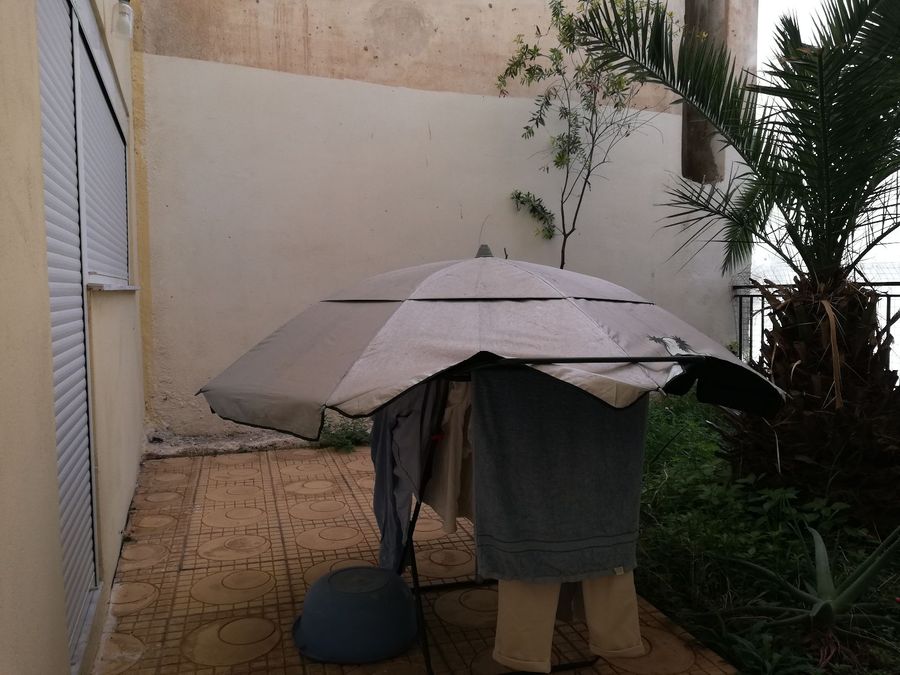 Photo 306531482