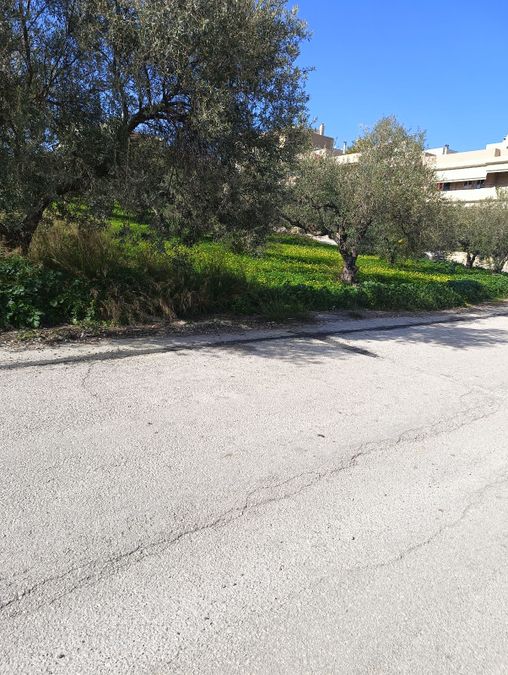 Photo 306811385