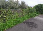 Photo 307005038