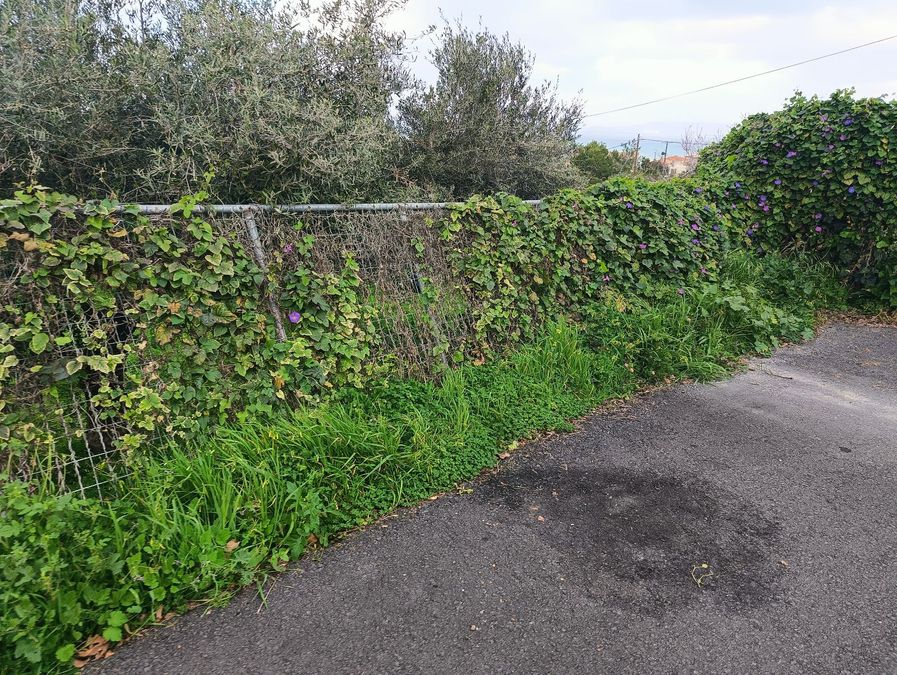 Photo 307005038