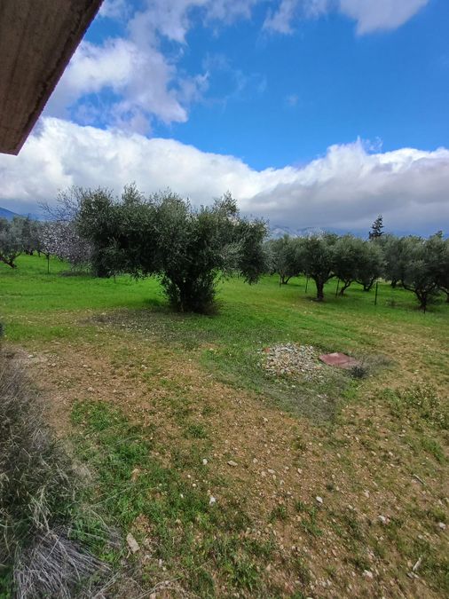 Photo 307184915