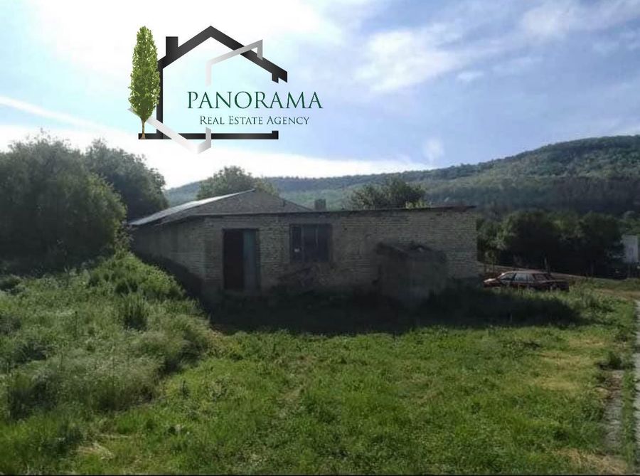 Снимка 307270664