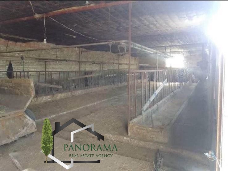 Снимка 307270670