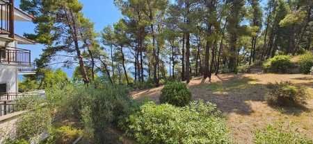 Снимка 307506203