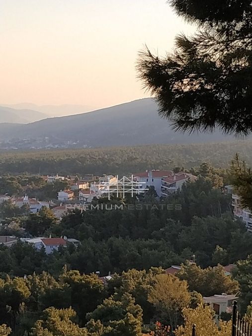 Photo 307743428