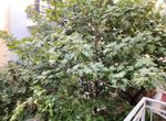 Photo 308203715