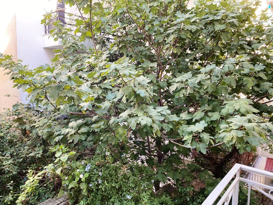 Photo 308203715