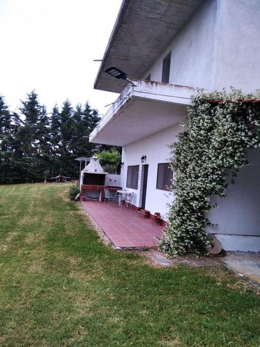 Photo 308420483