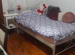 Foto 308574281