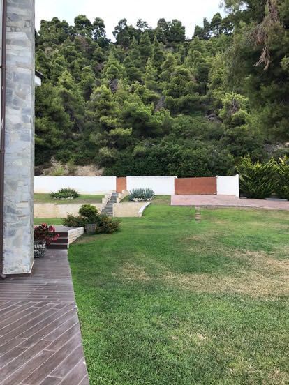 Photo 308638220
