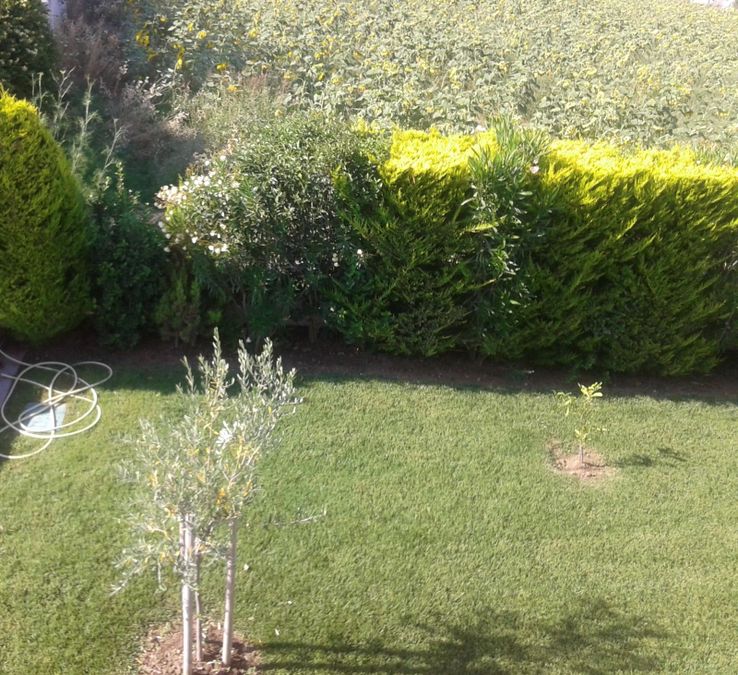 Photo 308858462