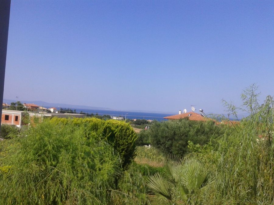Photo 308858723