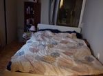 Photo 309030884