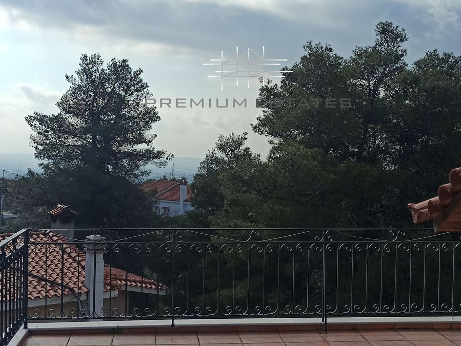 Photo 309037739