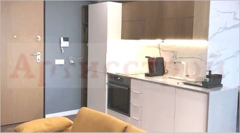 Снимка 309307388