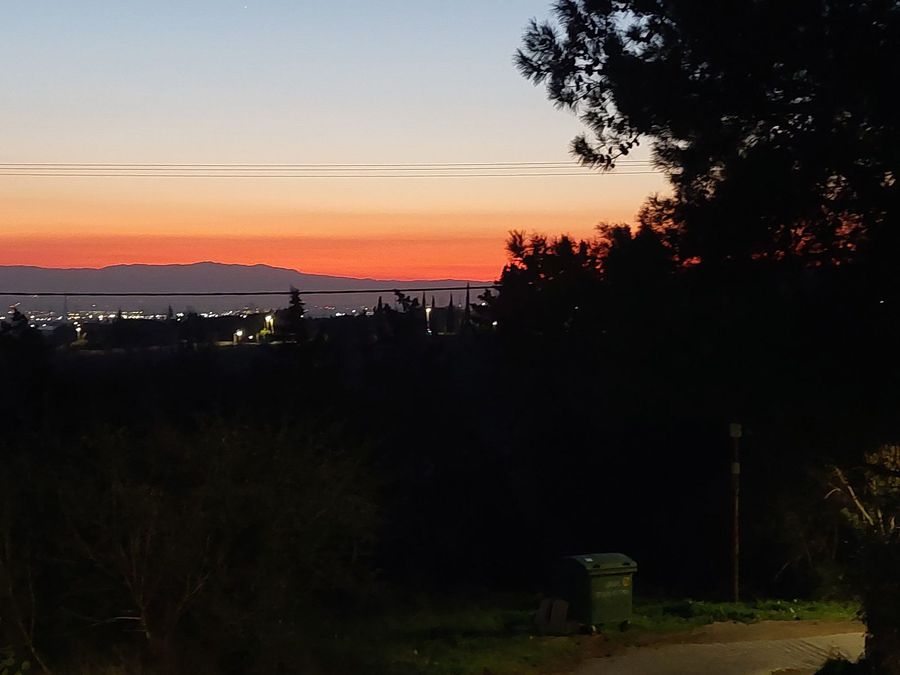 Photo 309737030