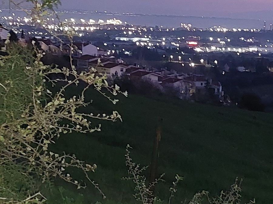 Photo 309737039