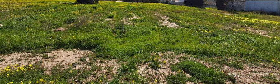 Photo 309803318