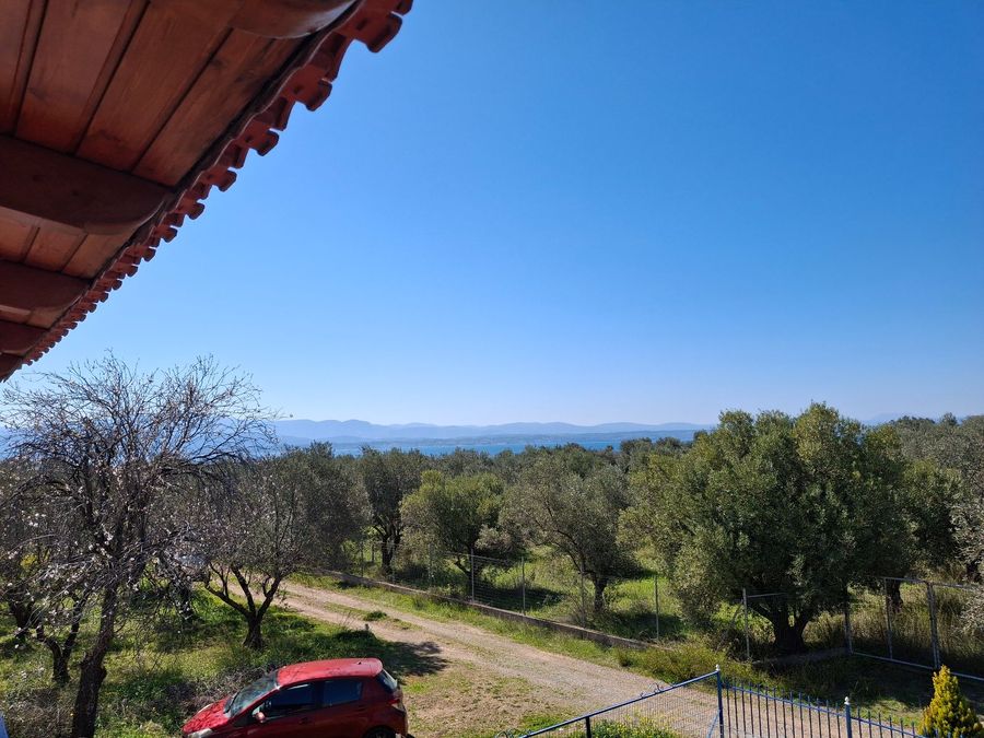 Photo 309902051