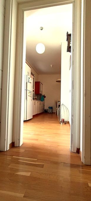 Photo 310187342