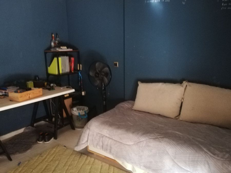 Photo 310241135