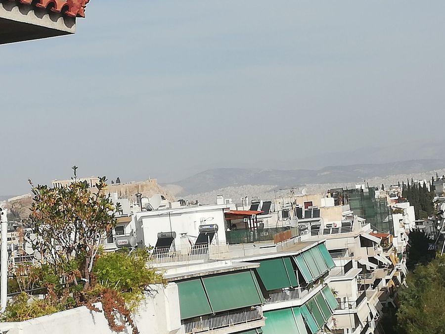 Photo 310261205