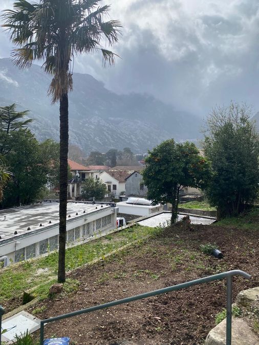 Fotografija 310594211