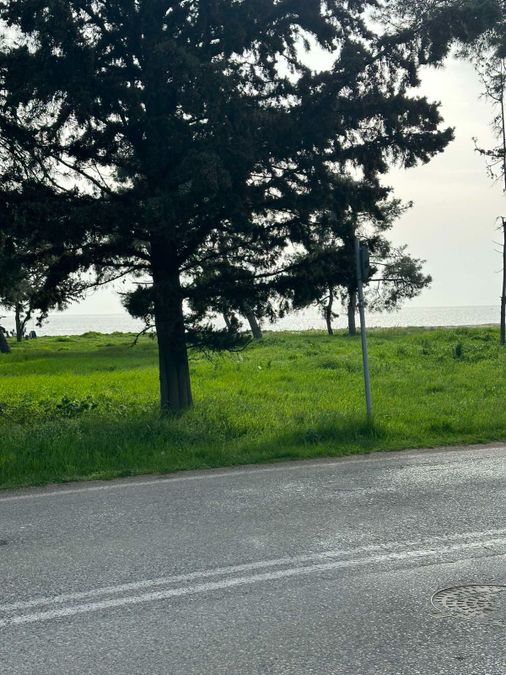 Photo 310600160