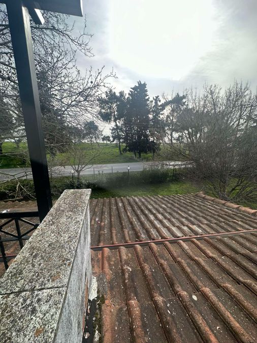 Photo 310600196