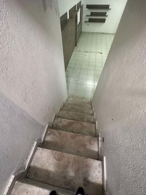 Photo 310600790