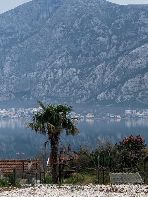 Fotografija 310791884