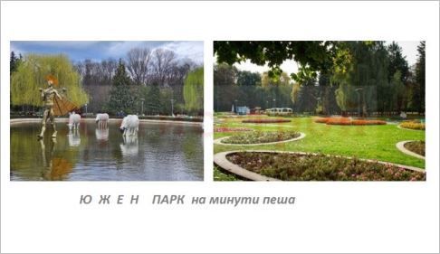 Снимка 310853369