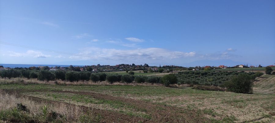 Photo 310966268