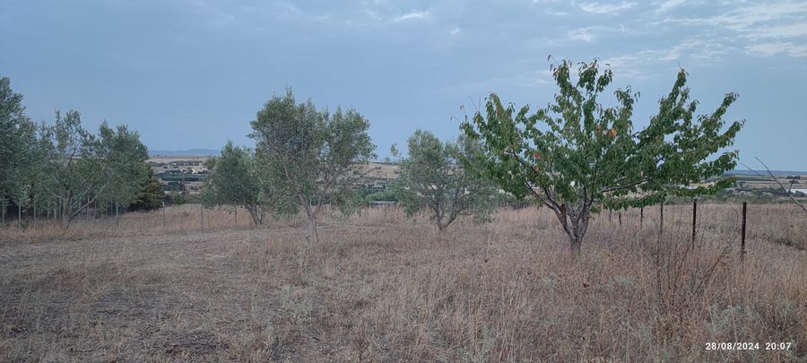 Photo 311006549