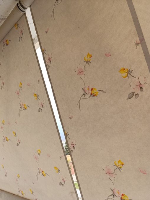 Photo 311039699
