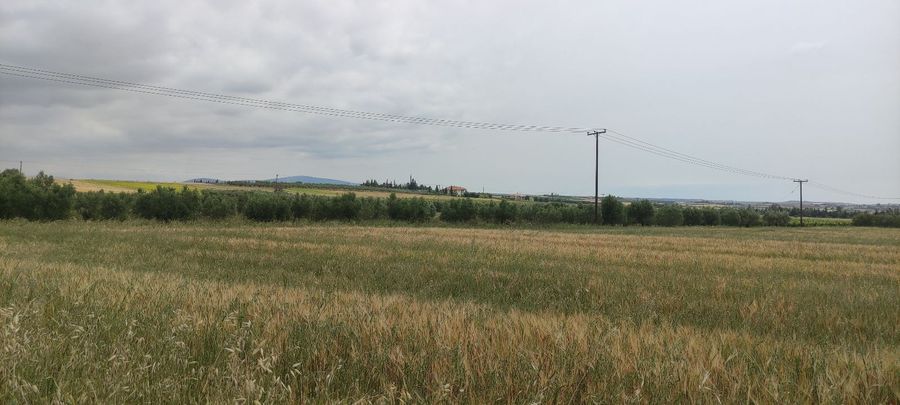 Photo 311114771