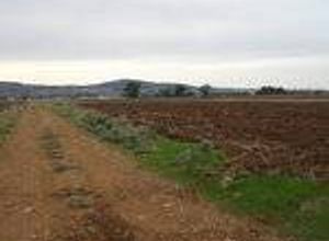 Parcel, Peristera