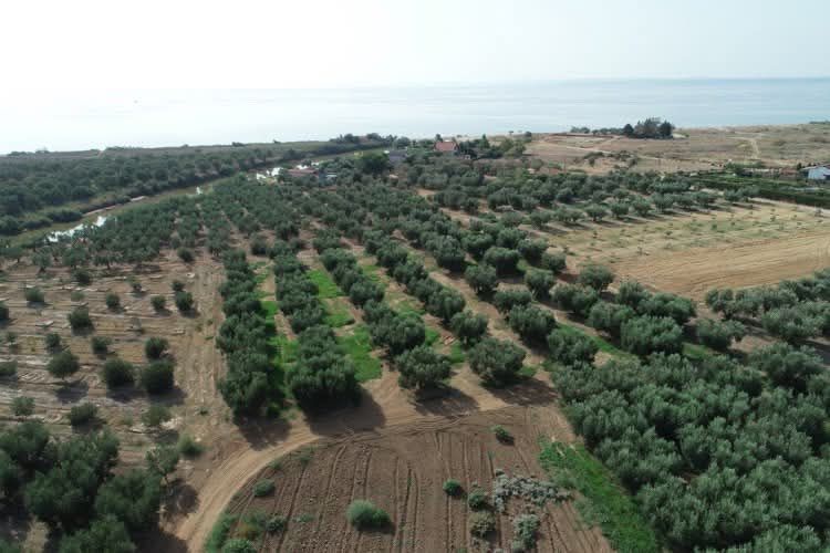 Снимка 311290217