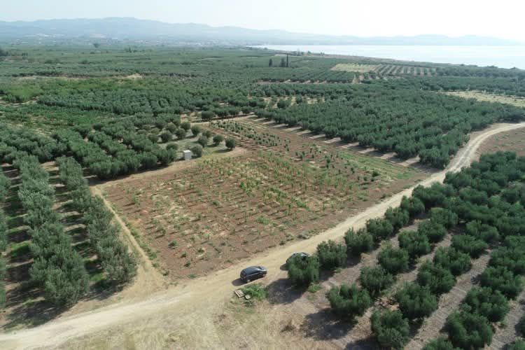 Снимка 311290223